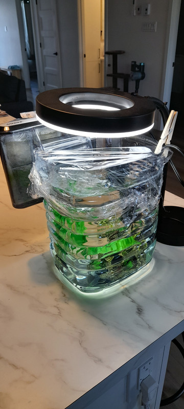 4 - aquarium temporaire