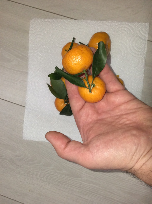 5E4839B1-012B-44C2-BC11-784168A5DB41