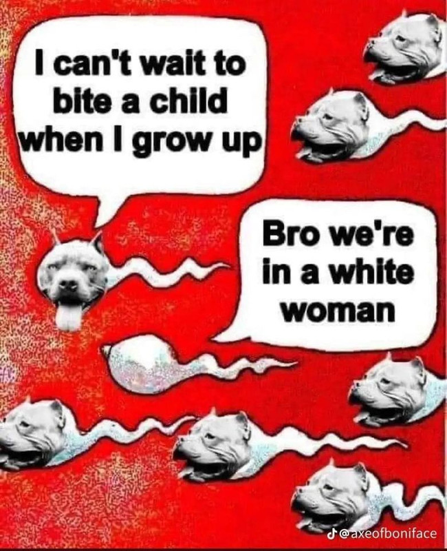 329027220-468314862038463-6120342889567773315-n.jpg
