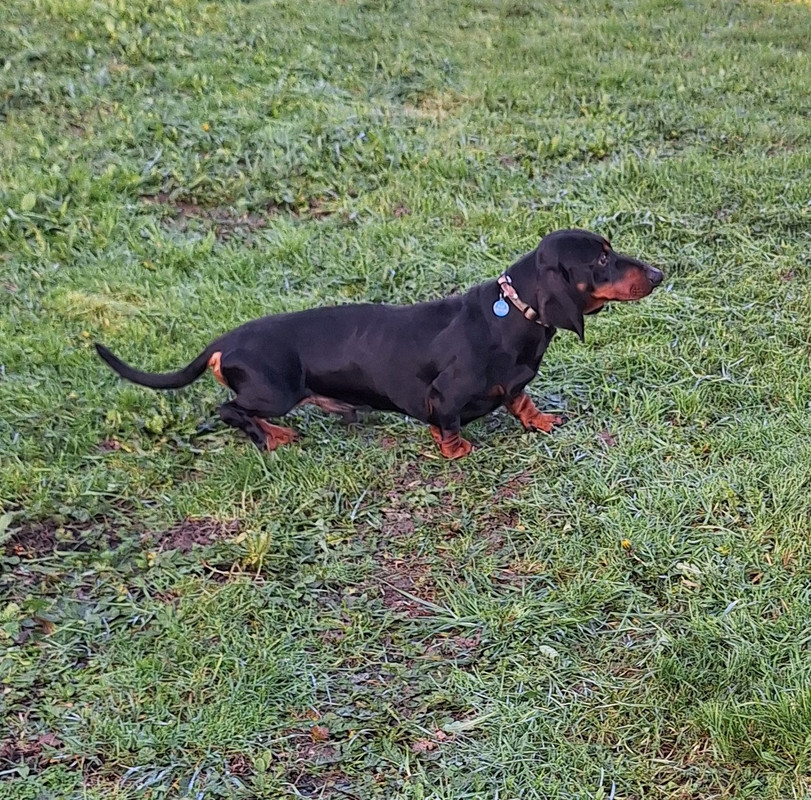 [Image: 20231220-123218.jpg]