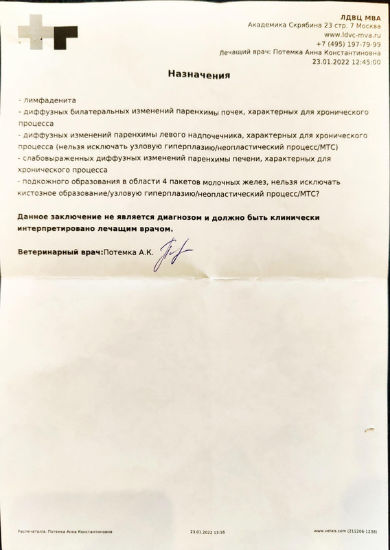 Муся обследование (4)