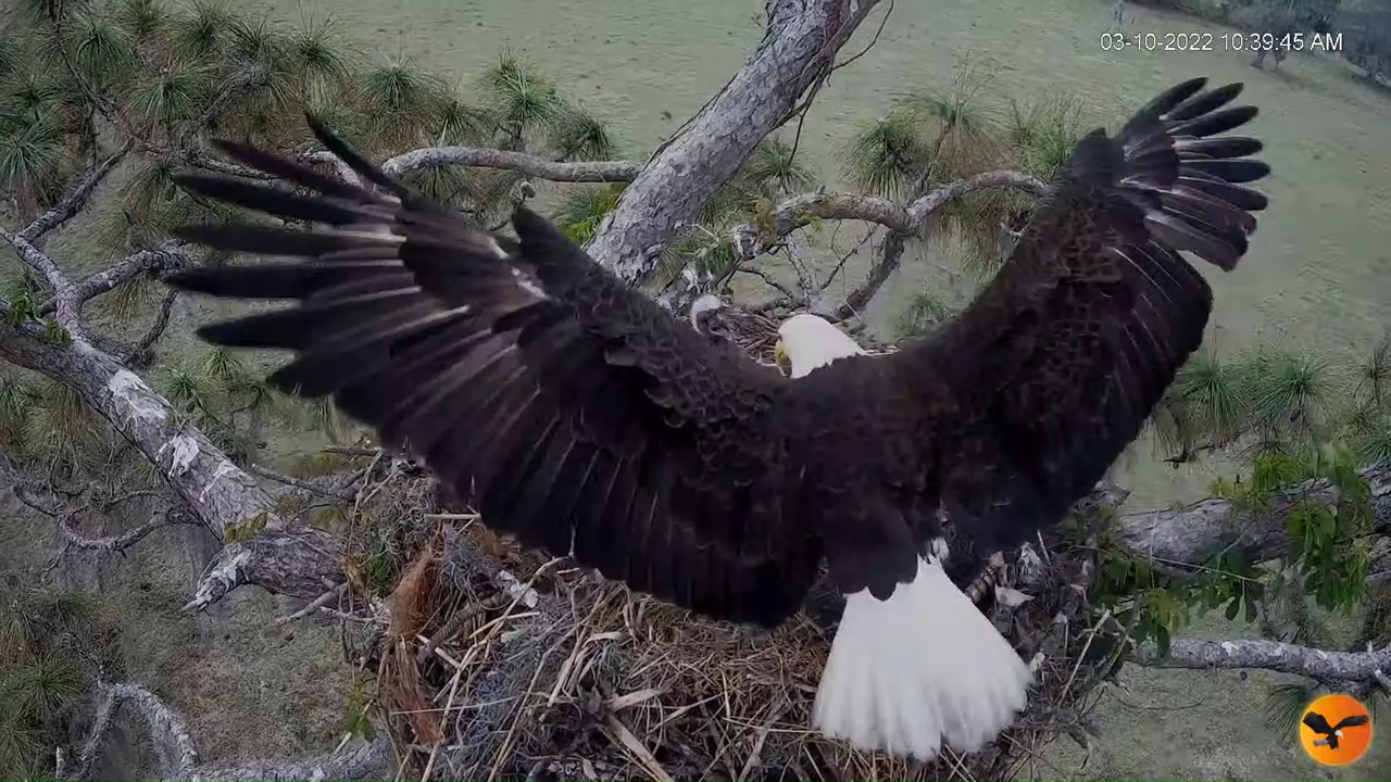 EC 4K Overhead Cam 12-27-6 screenshot