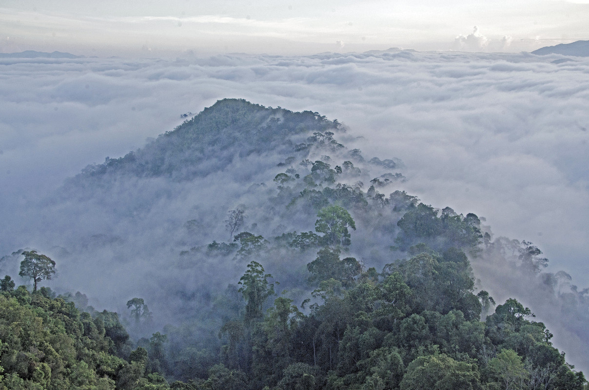 Sea of Mist Betong 4