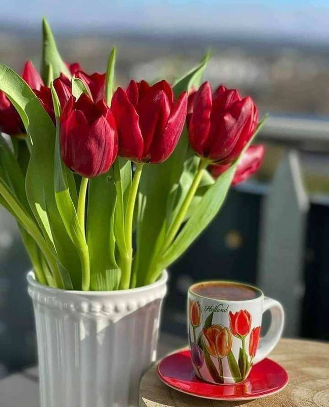 356440243_107607999066521_5595047406660250672_n