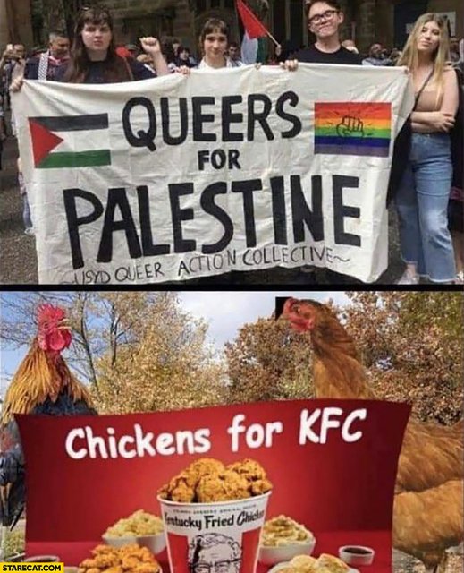 queers-for-palestine-just-like-chickens-for-kfc-3180312505