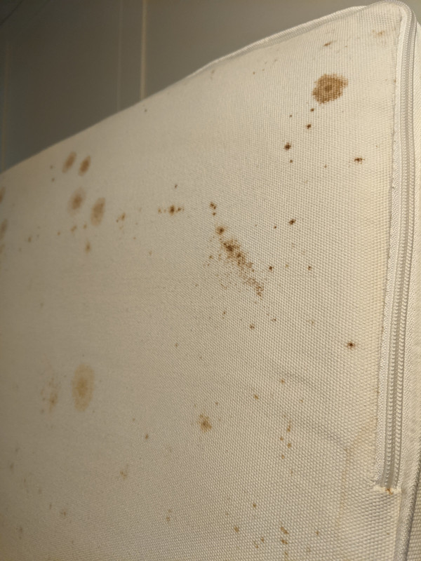 [贈送]北屯 IKEA雙人獨立筒床墊&浴室除霧鏡