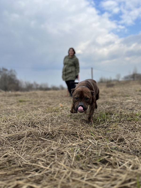 image-09-04-23-05-26-14 (1)