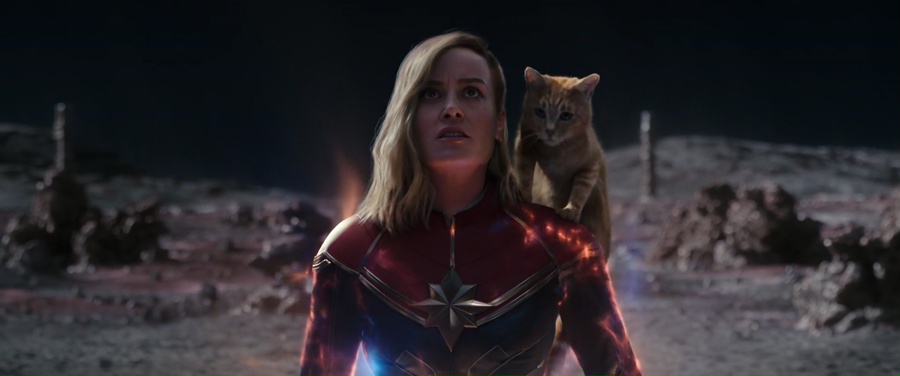 The Marvels 2023 BluRay [Hindi + Tamil + Telugu + English] 480p, 720p, 1080p ESub Screenshot