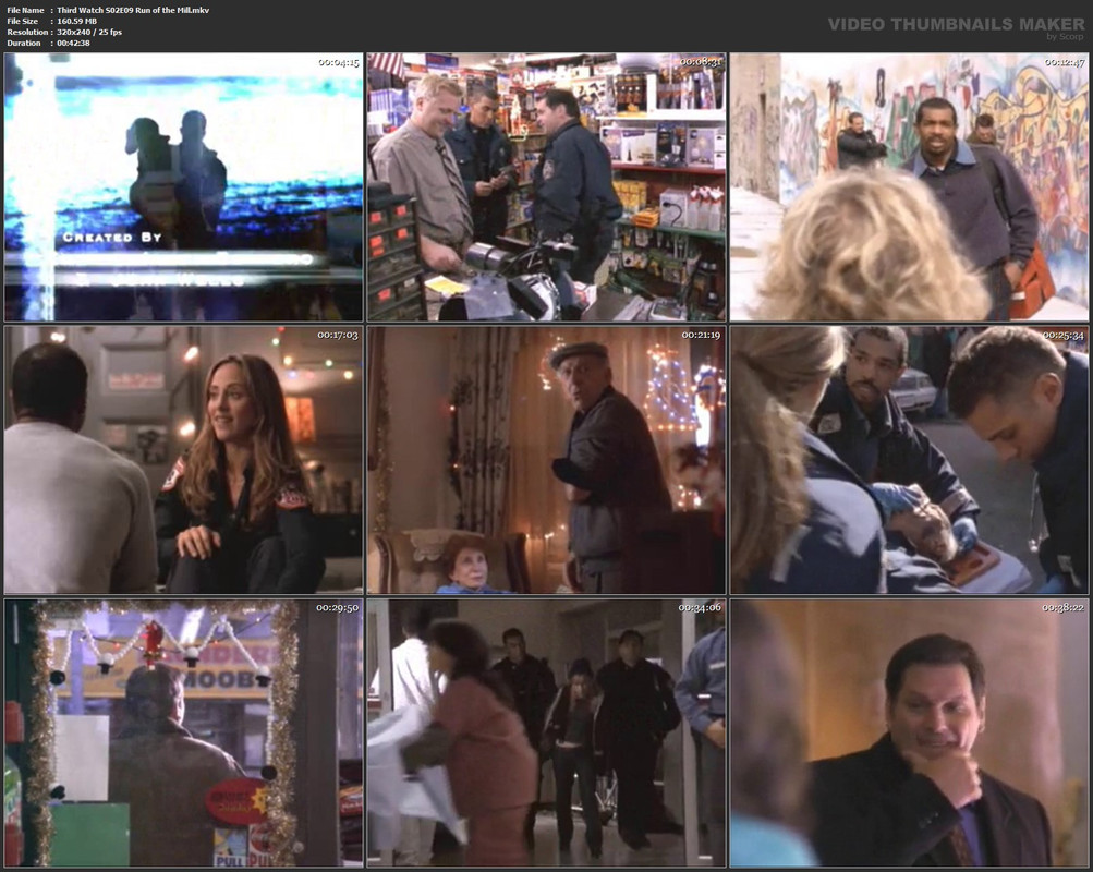 Third Watch S02E09 Run of the Mill.mkv