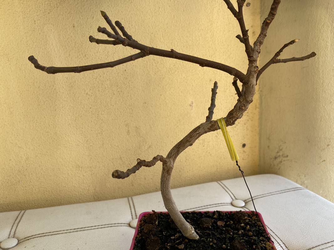 F106526B-3082-4699-8CF2-D71980A53B73