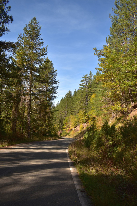 Βάλια Κάλντα (3)