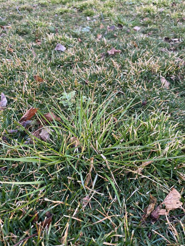 74AED03A-6C4D-49CE-AC0C-84211EB093E3