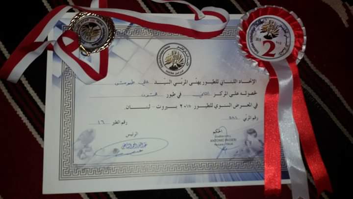 صورة