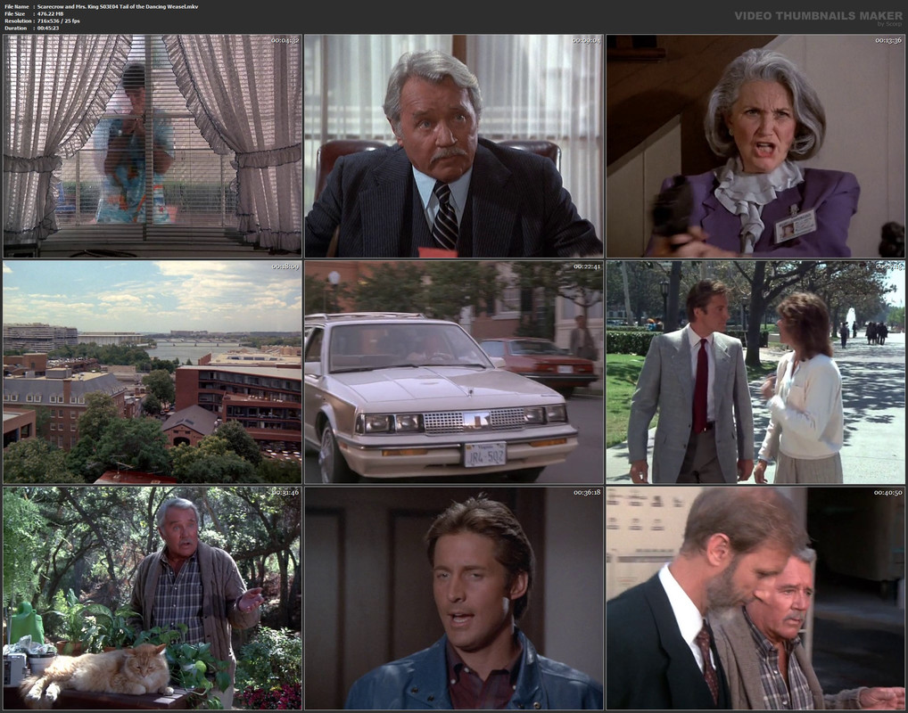 Scarecrow and Mrs. King S03E04 Tail of the Dancing Weasel.mkv