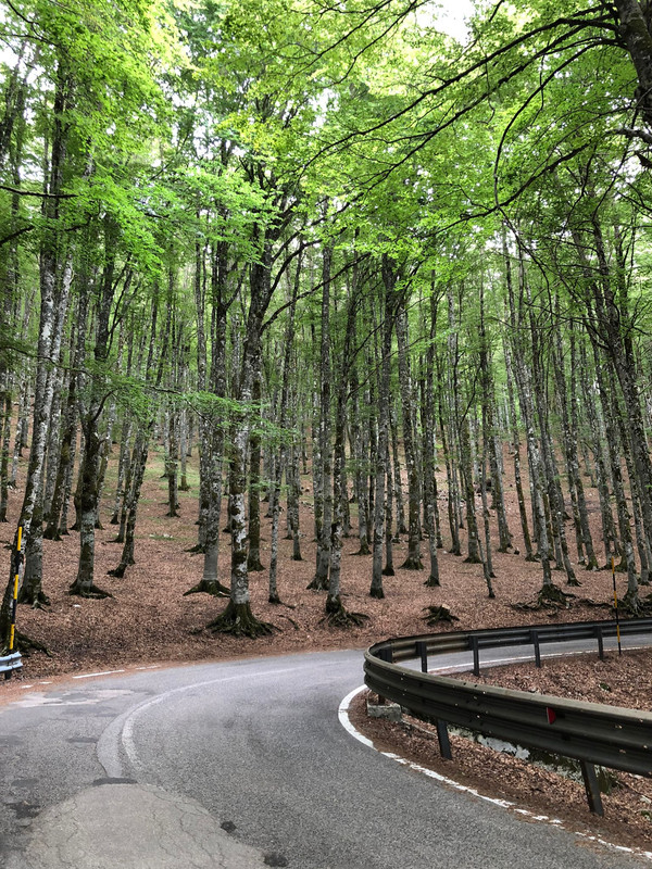 C6344300-5CDE-47E0-B930-CC3175DD678B