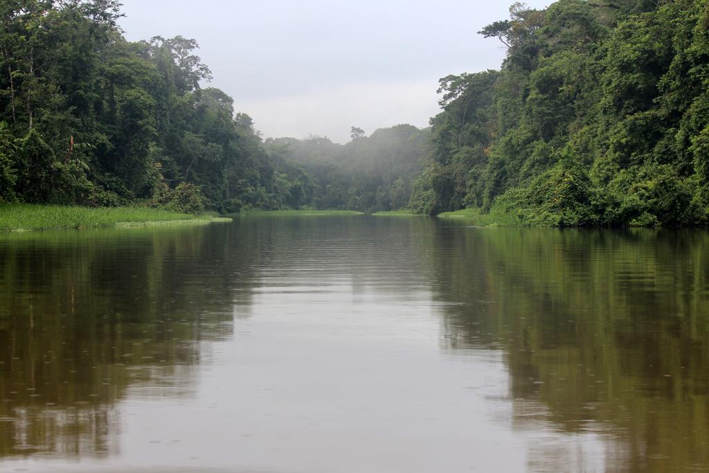 DIA 3: CANALES, COLINAS Y TORTUGAS - DE TORTUGAS Y PEREZOSOS. COSTA RICA 2019 (11)