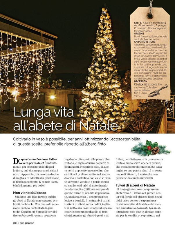 Il Mio Giar Dic 2022-Gen 2023 (5)