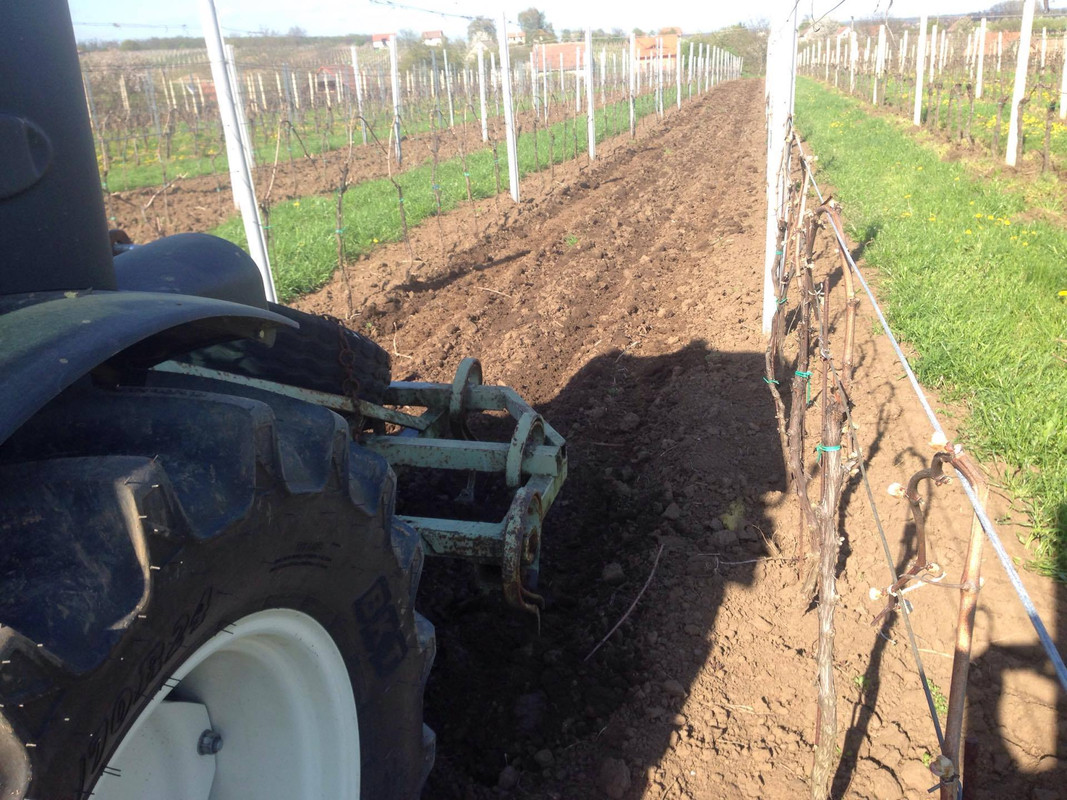 13106608_10204621001083213_771798824_o