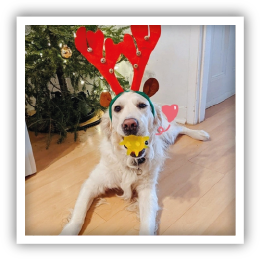 Site-Web-vignette-Instagram-crazy-31