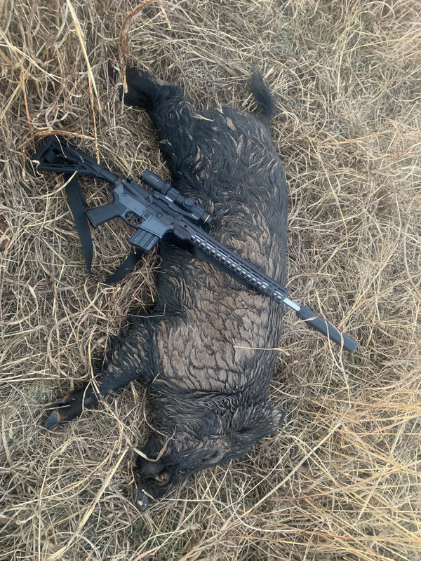 93DB5F69-A9D9-4A9B-A90E-697AAB70DF5F