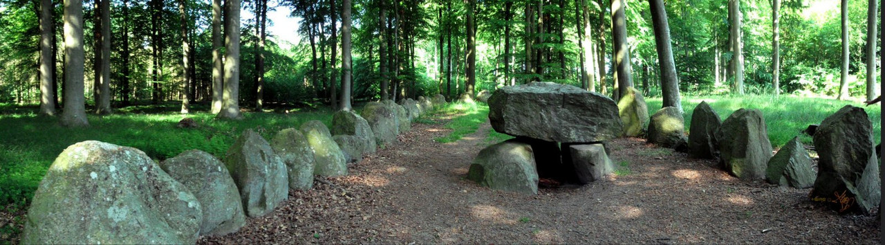 green-danish-forest.jpg
