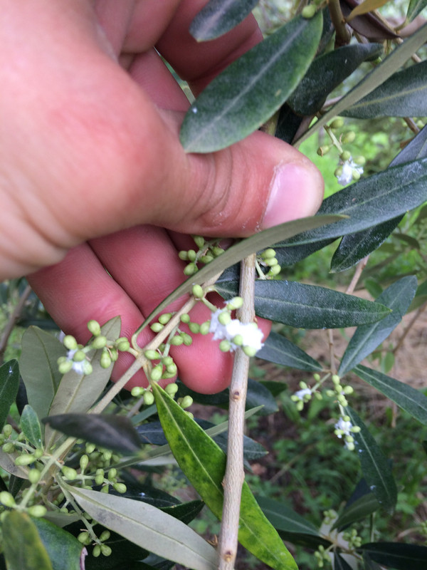 E2BB13F1-26A9-4727-8275-61A8A8549F8C