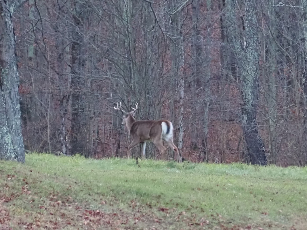 6E47A27D-2721-4472-A180-47F330335DCB