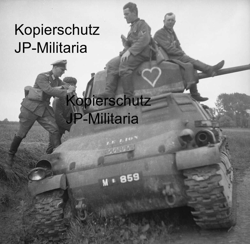 französischer Panzer Kennung LE LION Frankreich 