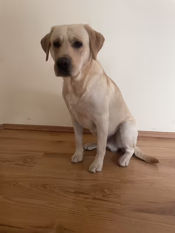 5CDC819D-B236-498F-84BF-8ADF33ADF690