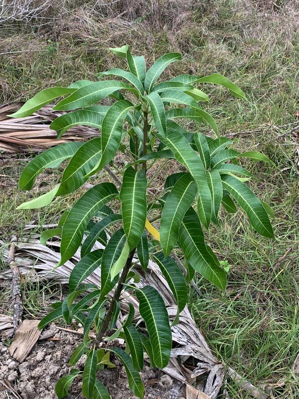 5B4F2010-F2EB-48CD-BB48-04EEC0DA748C