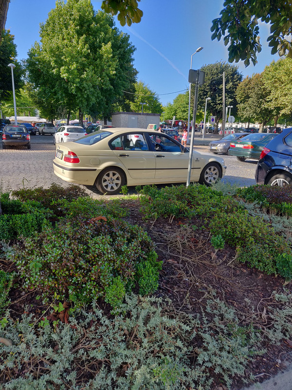 IMG-20190817-180849.jpg