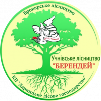 Логотип Берендей