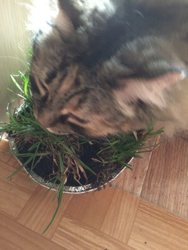 9D7D3D25-0381-4ED3-9977-5982E230EB4B