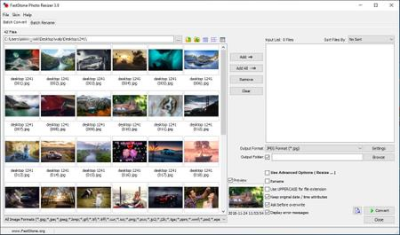 FastStone Photo Resizer 3.9 Corporate