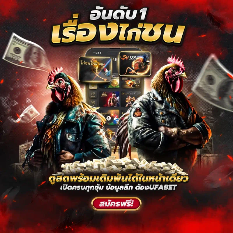 No 1 Cockfighting ถ่ายทอดสดไก่ชนอันดับหนึ่ง