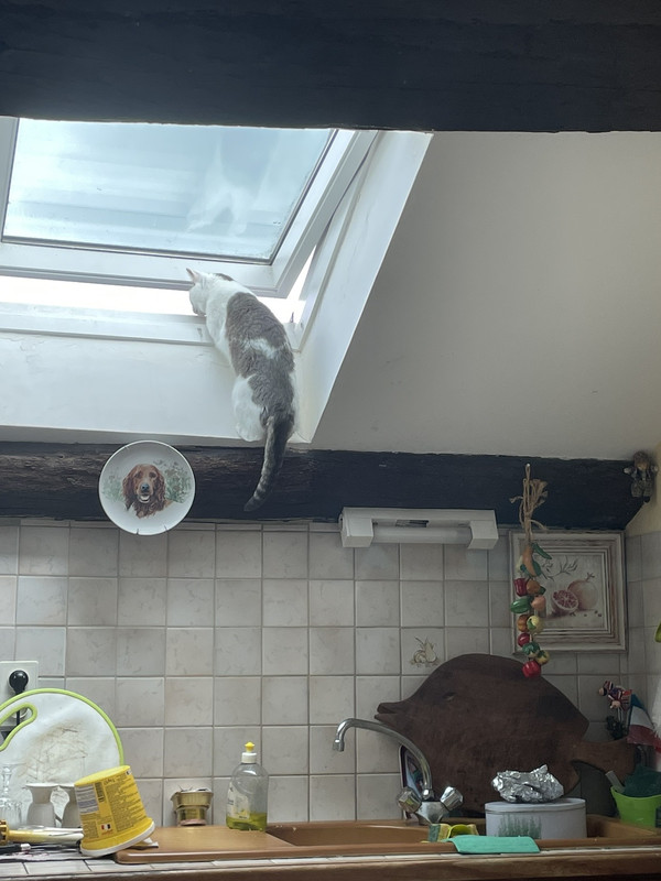 EE58C821-5291-4865-8564-2AF5CE8958C2