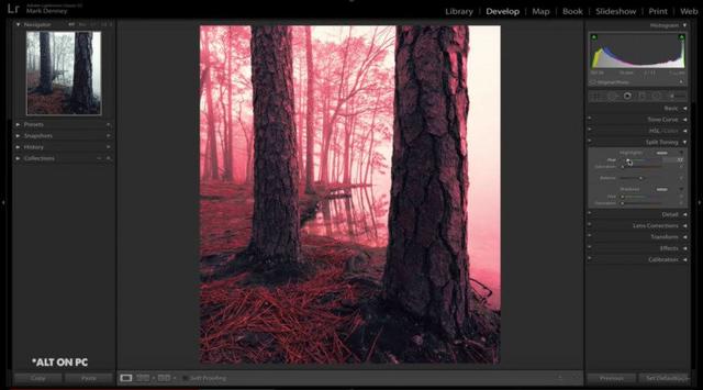 Adobe Lightroom - Finding Your Unique Editing Style Adobe Lightroom - Finding Your Unique Editing Style