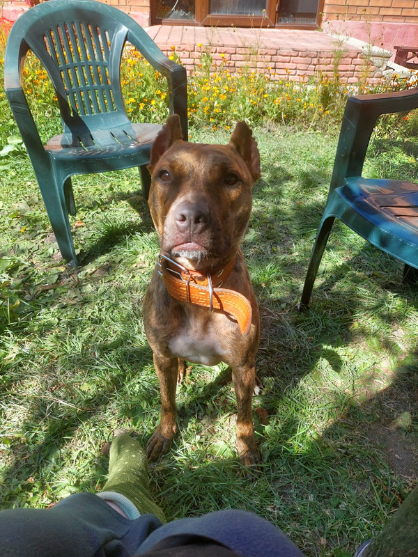 82E07745-C5C2-4F32-8ABE-C28C23BFAB38