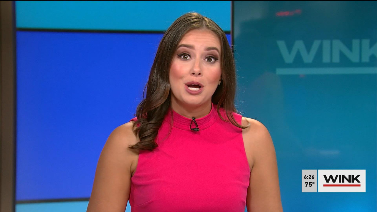 08.15 - 11.00.00 - WINK News @ 6 00AM Sunday. Local news, sports and ....ts_snapshot_00.25.51_[2021.