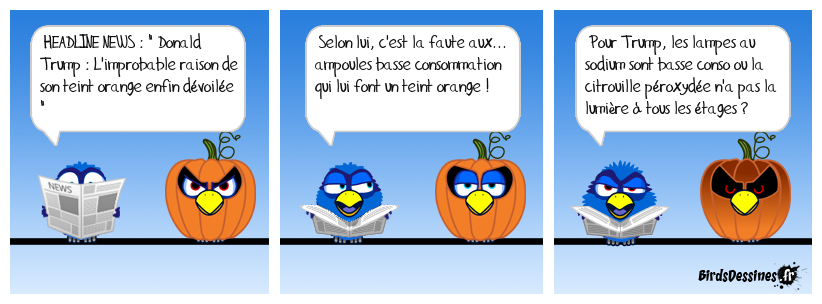 [JEUDI] - Les Birds - Page 2 2022-11-03-b-01