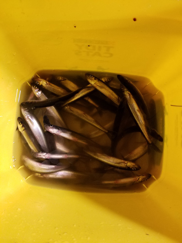 20190415_233917