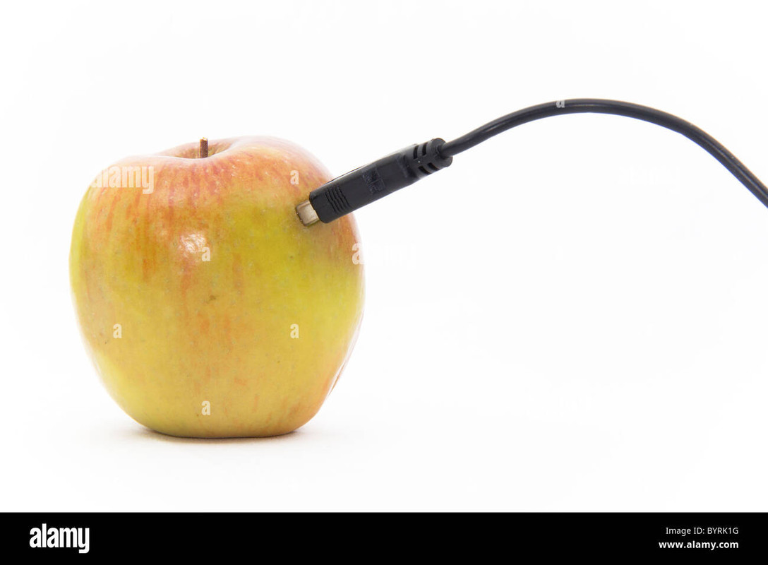 an-actual-apple-plugged-into-a-usb-cable-on-a-white-background-BYRK1-G.jpg