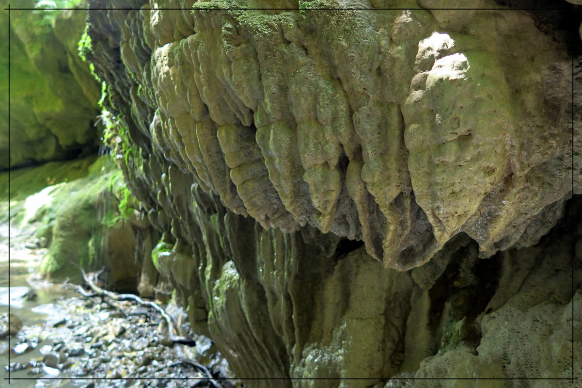 Wairarapa, esa gran desconocida - Escapadas y rutas por la Nueva Zelanda menos conocida (24)