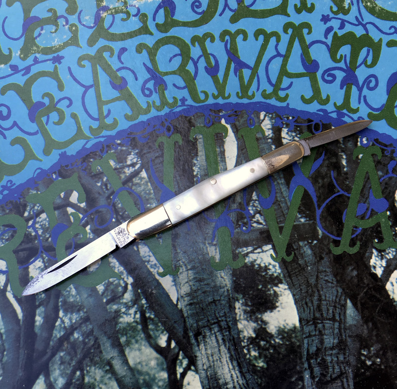 3ECC19DB-8F66-4E18-ADC2-05D03A860F76