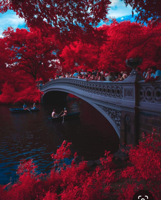 Screenshot_20230327_004554_Pinterest