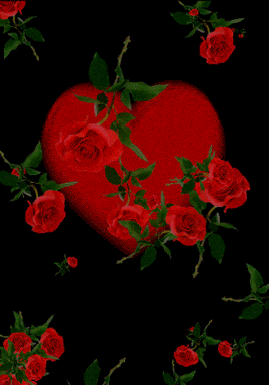 ���� ���� ������ �� ���� ������