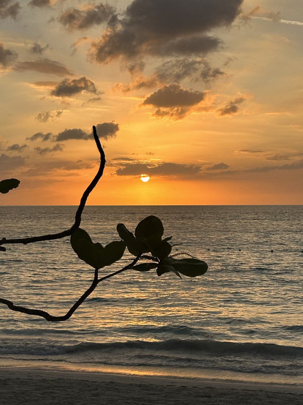 FCFCAFC7-CAAF-4848-B8FB-3A042581CF9C