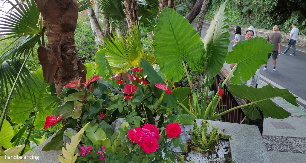 IMG_20250523_184051a