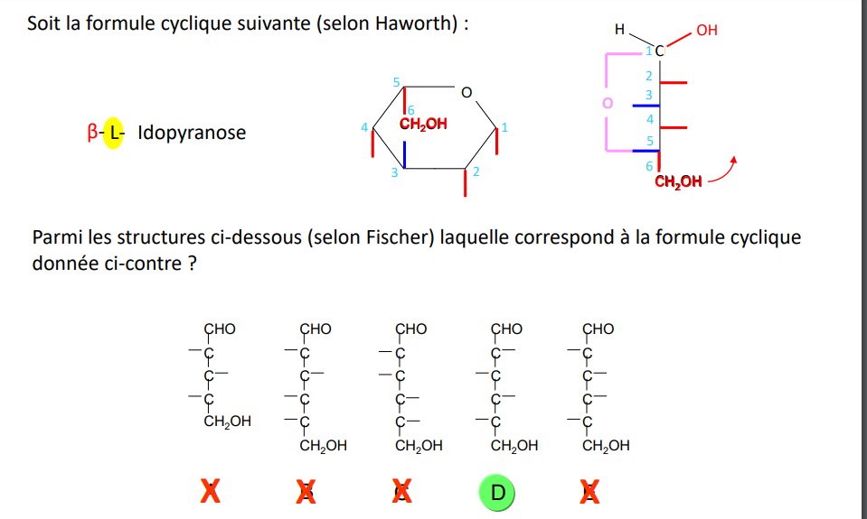 Capture d’écran 2023-12-11 092405