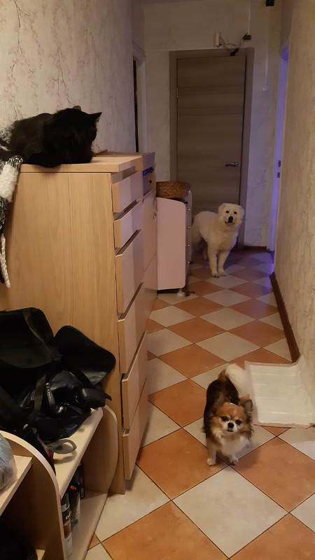 A84E5108-1406-4CE0-870C-DF3A20BC880E